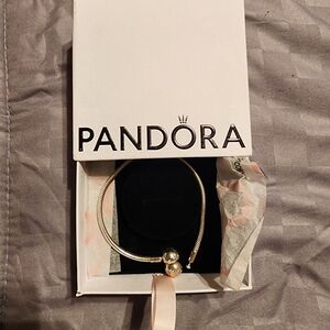 Pandora Silver Snake Chain Bracelet with Round Clasp